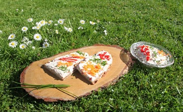 Brotzeitplatte mit selbst gemachtem Aufstrich im Gras