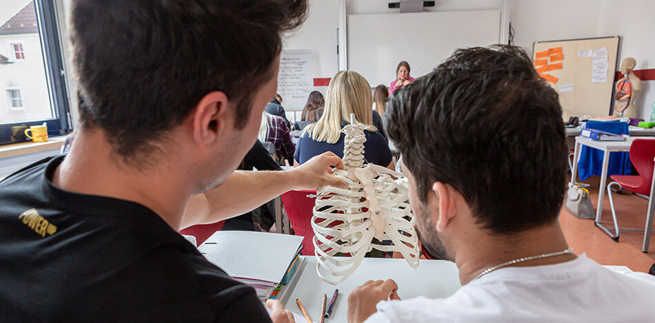 Die Kursteilnehmer*innen erfühlen die Rippenbögen am künstlichen Skelett im Anatomie-Unterricht.